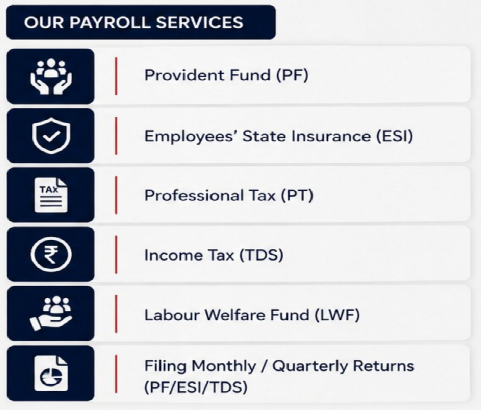 Our Payroll Services: Provident Fund, ESI, Professional Tax, Income Tax TDS, Labour Welfare Fund, Filing Returns